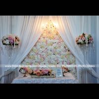 Backdrop - 1