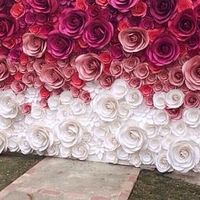 Backdrop - 2