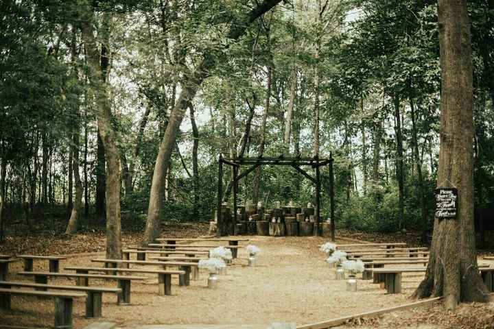 Looking for a large tree backdrop near Charlotte, nc - 1