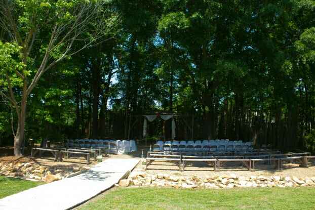 Looking for a large tree backdrop near Charlotte, nc - 1