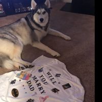 Anyone else have a super casual proposal?