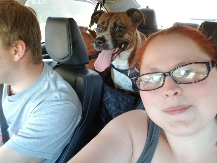 Dogs as ring bearers 2