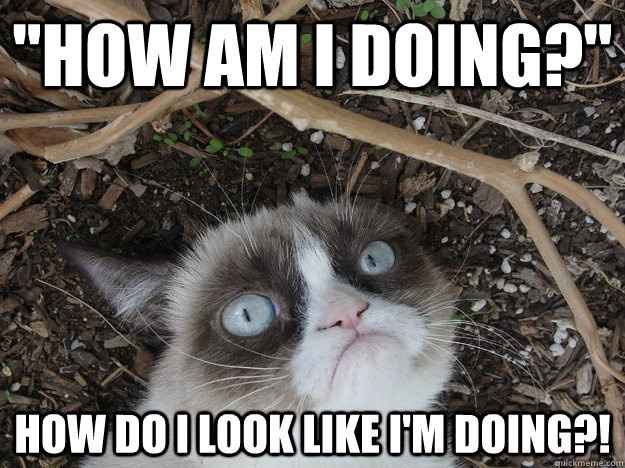 Meme your day!