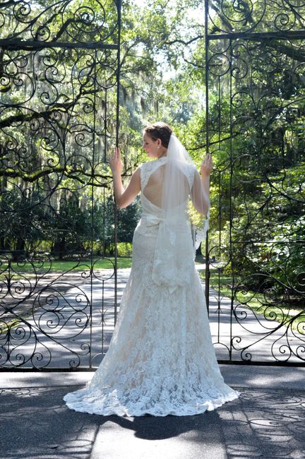 Bridal Portraits