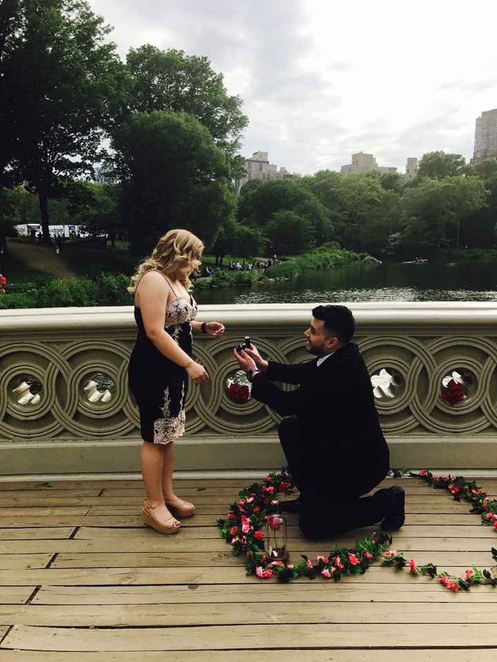 Engagement Day at Central Park in New York