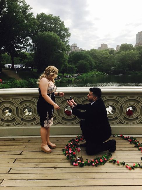 Engagement Day at Central Park in New York