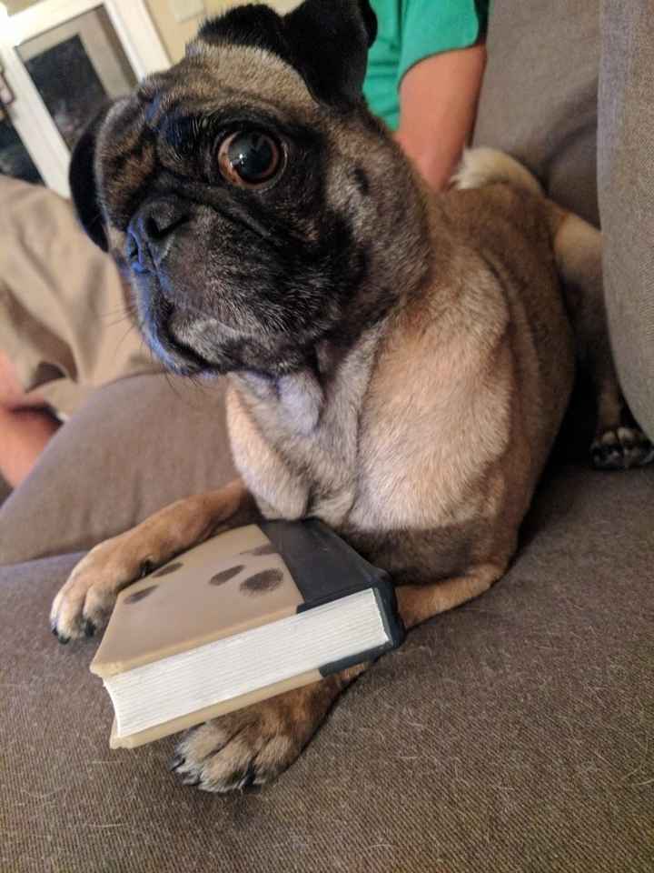 Show Me... Cheering Up!