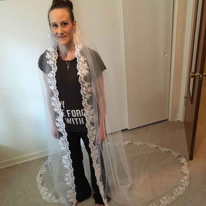 Veil Regret -UPDATED