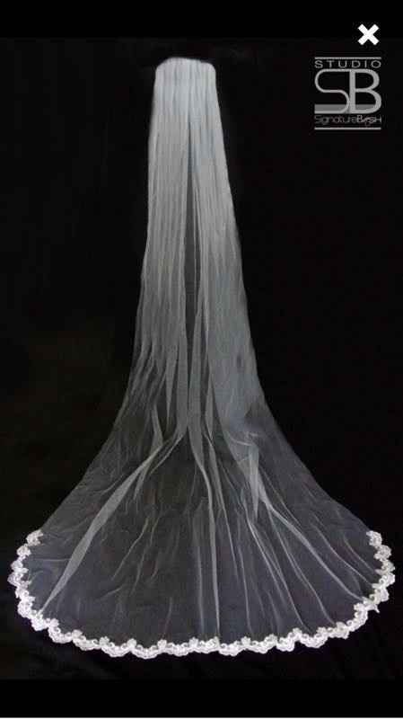 Veil Opinions