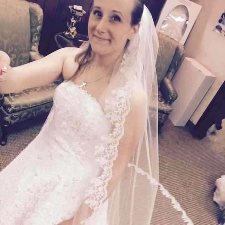 Lace Trim Veil or Plain Veil?