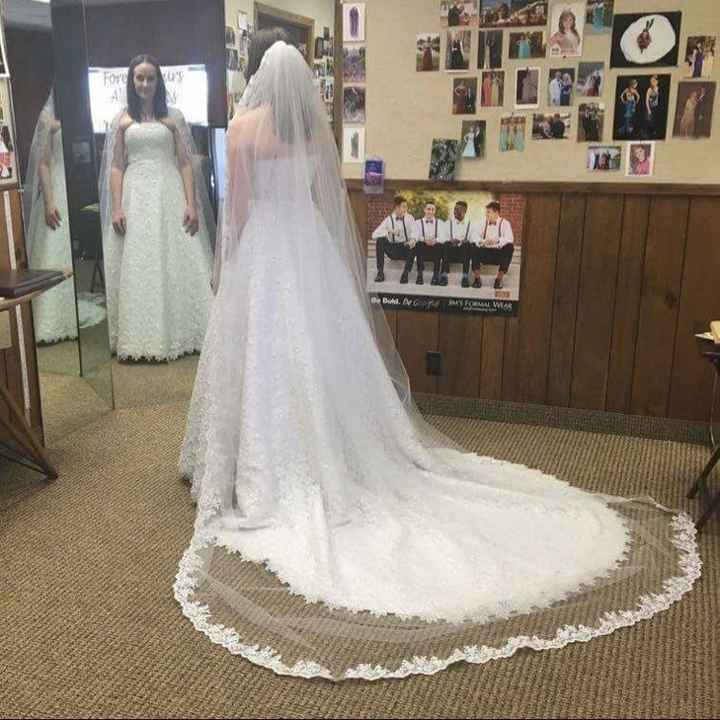 Lace Trim Veil or Plain Veil?