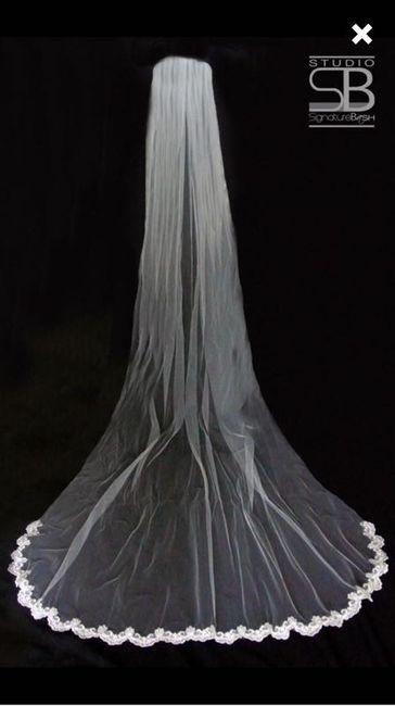 Veil Opinions