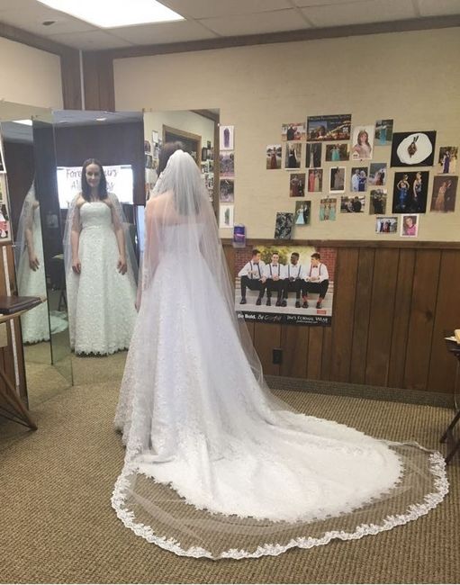 Veil Regret -UPDATED