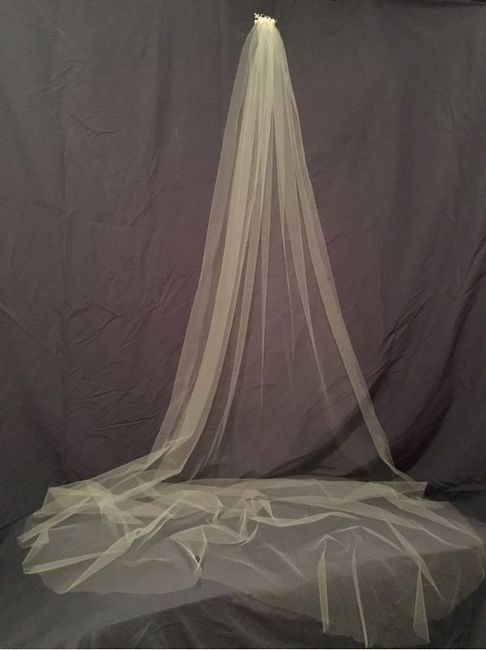 $2 Veil
