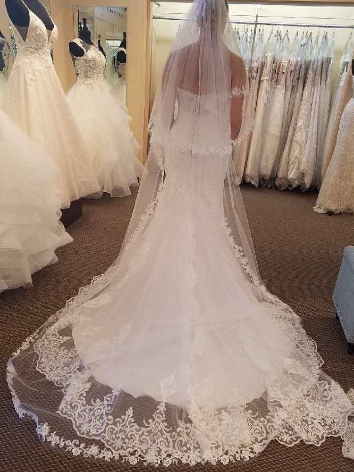 Said Yes to the Dress - 1