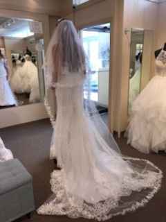 Wedding dress has arrived - 2