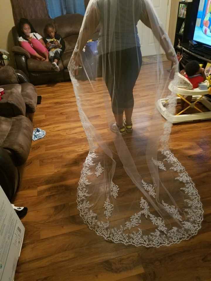 My Amazon Veil Arrived!!!