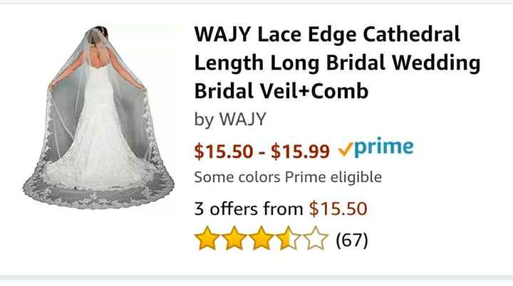 My Amazon Veil Arrived!!!