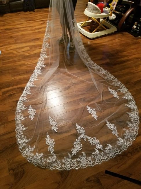 My Amazon Veil Arrived!!!