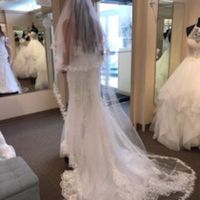 Wedding dress has arrived - 2