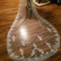  Inexpensive Veils - 1
