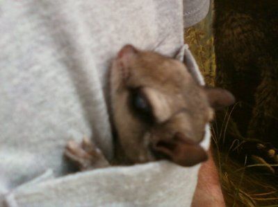 NWR:  Lost a pet :(