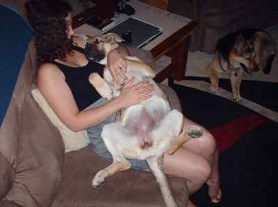 Are you a PROUD BBW? own it ladies