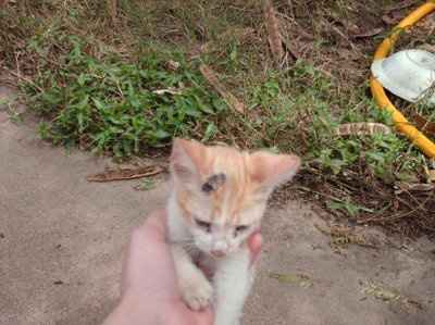 For animal lovers, brag about your animals!!