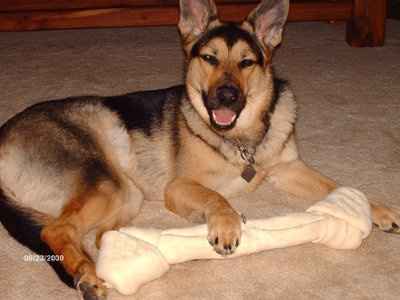 NWR: What kind of dog do you have?