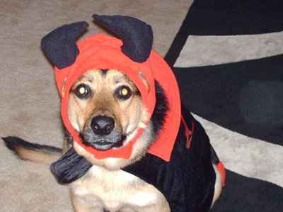 NWR: Hallowee Costume