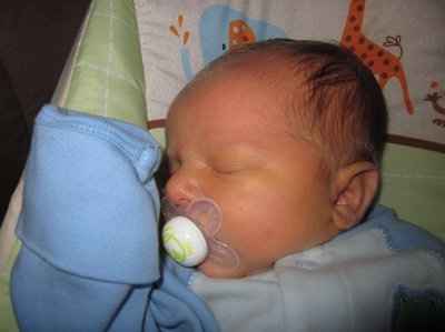 BR:  Five days old! (updated)