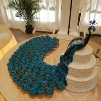 can I see your cake design?