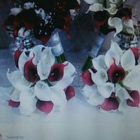 COLOR SCHEME HELP? WHAT ARE YOUR COLORS?