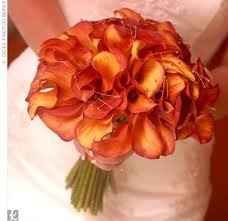 Colors...Opinions Please