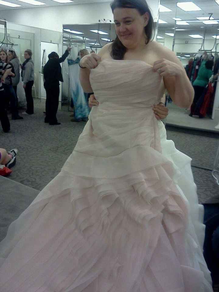 Help Me "Say Yes to the Dress" PICS