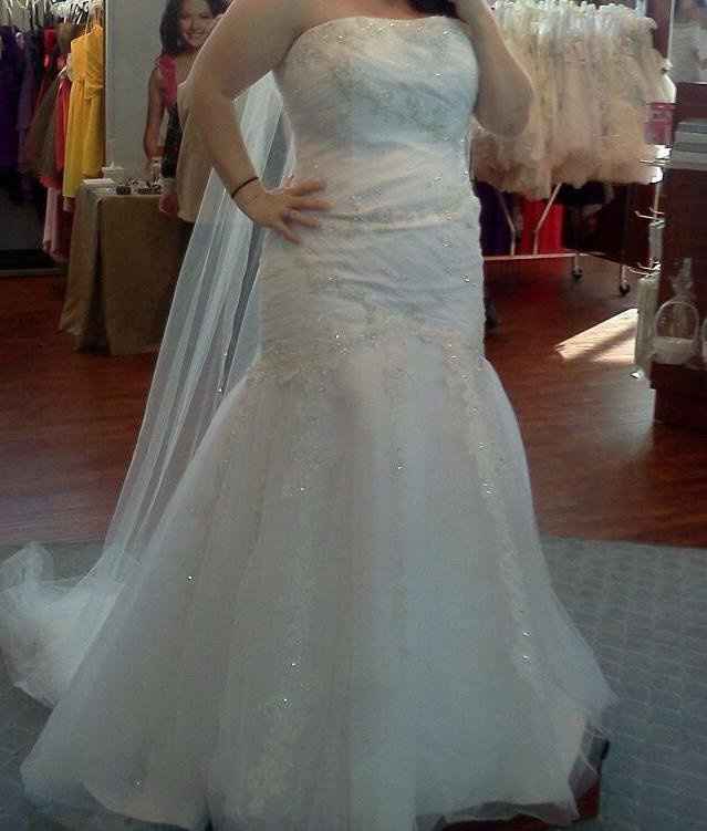 Any plus size brides out there???