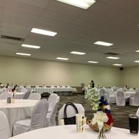 Spandex chair covers vs. cotton covers - 1