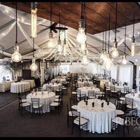 Which linens & napkins to choose? - 1