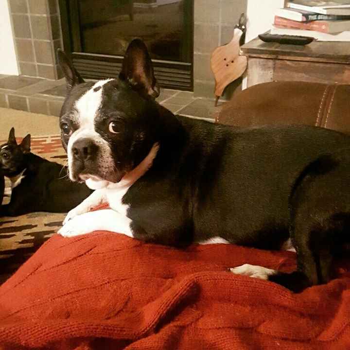 NWR: We became a family of 5 last night!