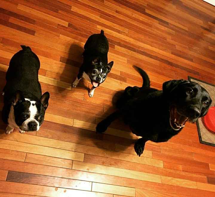 NWR: We became a family of 5 last night!