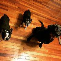 NWR: We became a family of 5 last night!