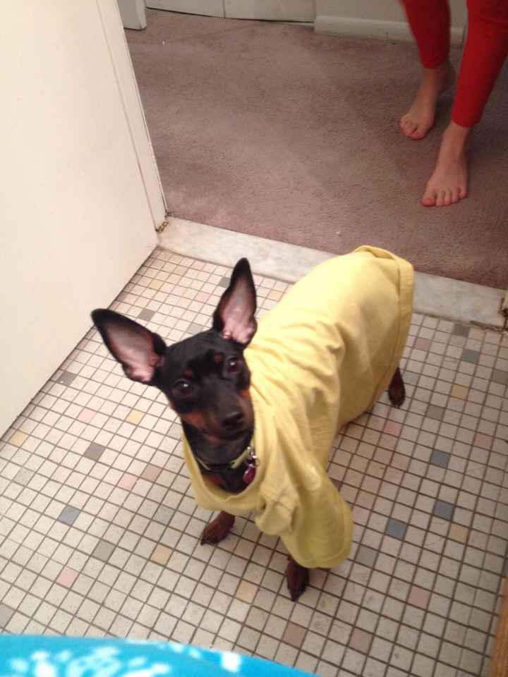 Fur baby friday!