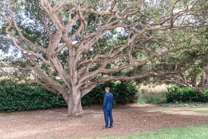 photo Recap!! Carmel, ca (pic Heavy!!) - 4