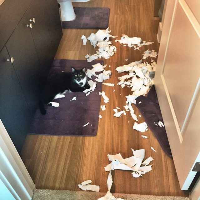 Fur baby friday!