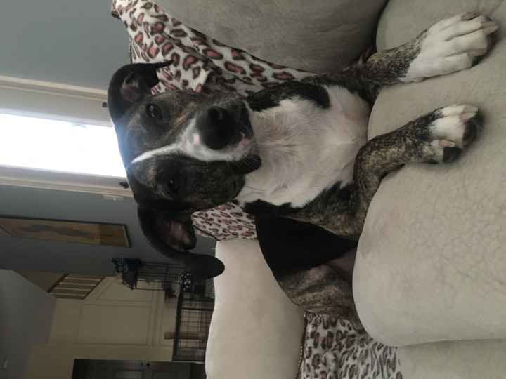 Need some WW good vibes this week!