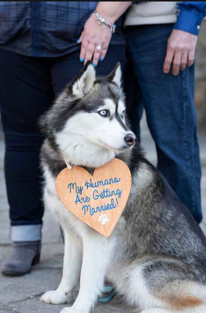 Help me decide, please Save the Dates vs photos used - 1