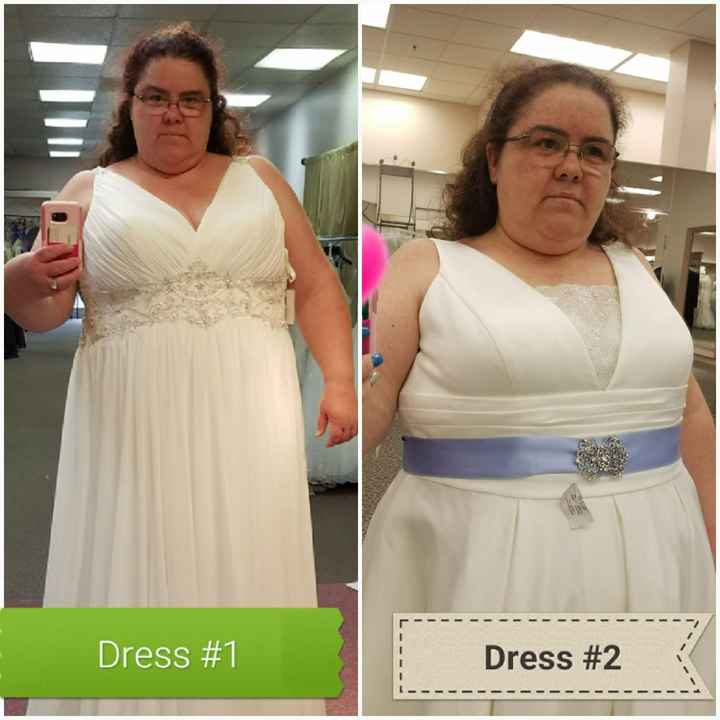 Which Dress? Double guessing my choice. - 1