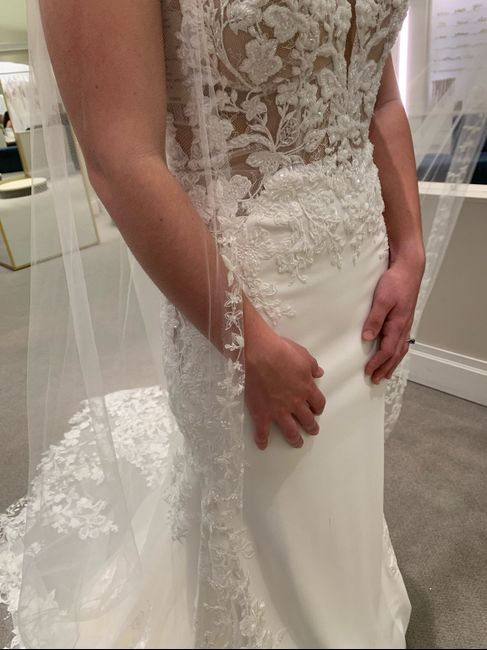 Brides of 2022 - Dress Pics! 21