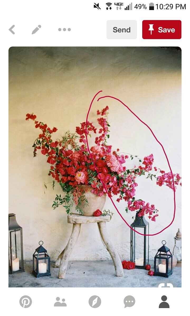 What flower is this? - 1