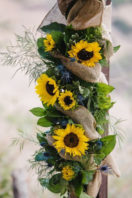 What colors go with sunflowers 1